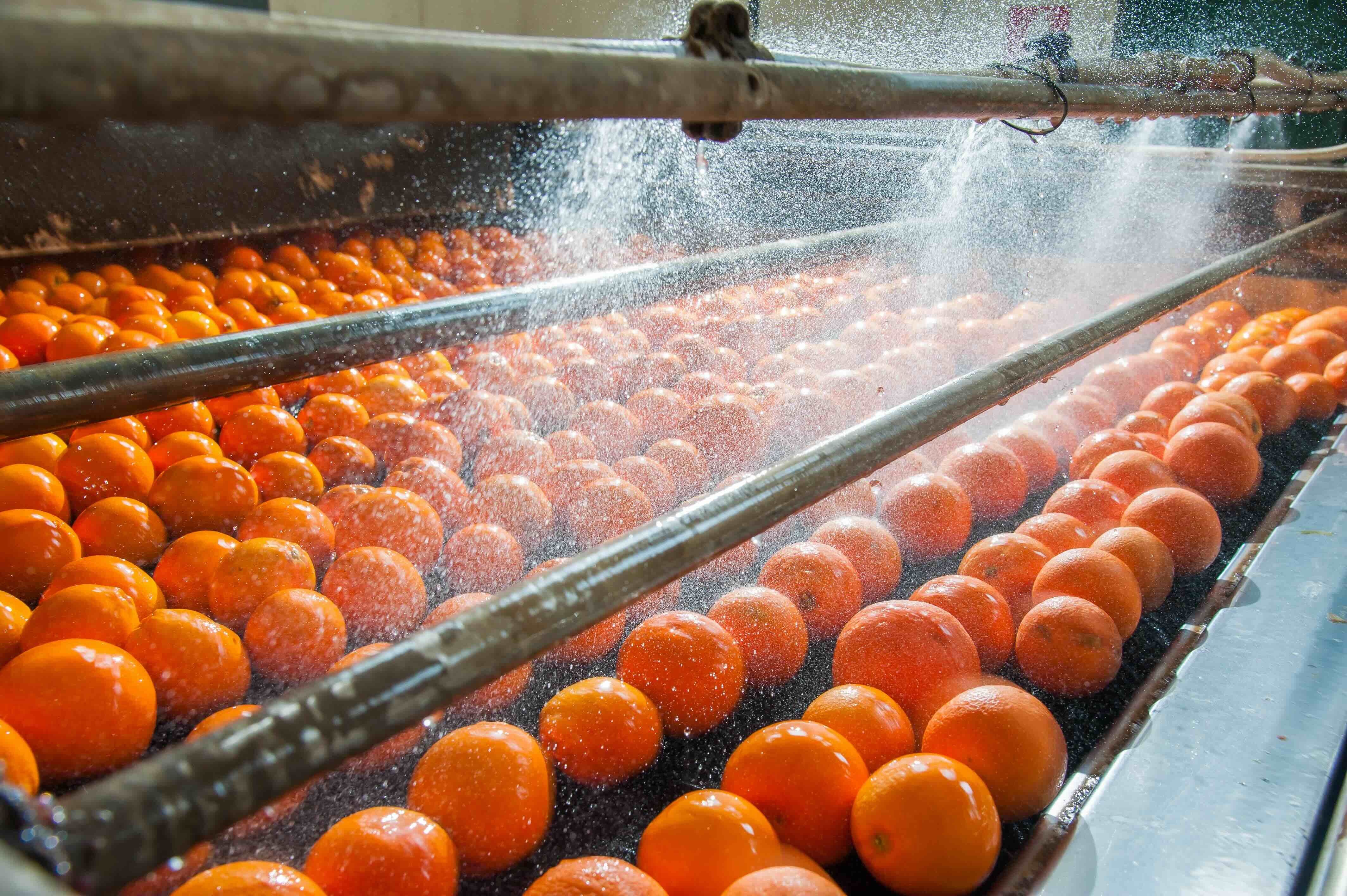 30215_WAX_Keeping Tabs Blog_Food Safety Blog